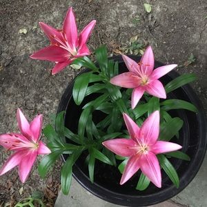 Meet your Posher, Christina